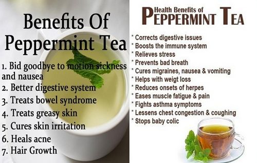 Spearmint Tea - Health Benefits of Spearmint Tea 